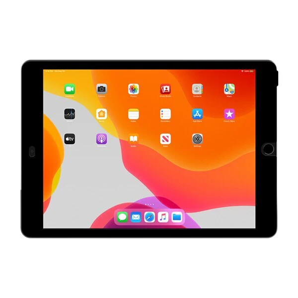 PROTECTOR DE PANTALLA BELKIN PRIVACY IPAD 10.2 INCH - Image 4