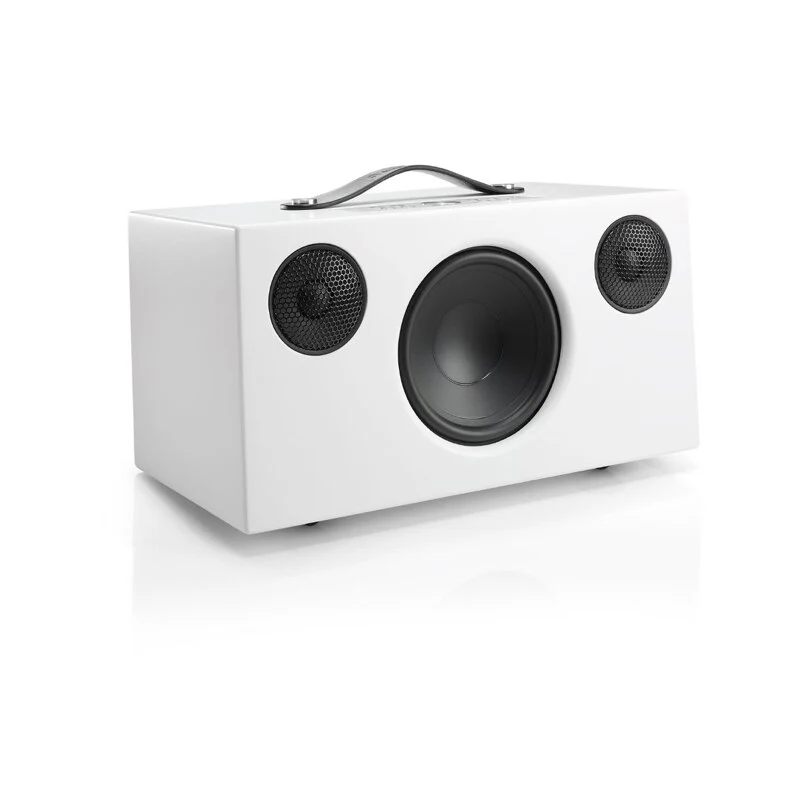 SPEAKER AUDIO PRO C10